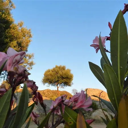 Donnigheddu Gasthuis Rudalza