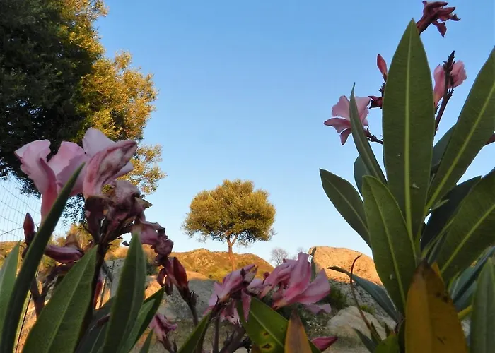 Donnigheddu 招待所 Rudalza